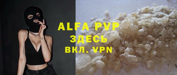 ГАЛЛЮЦИНОГЕННЫЕ ГРИБЫ Михайлов