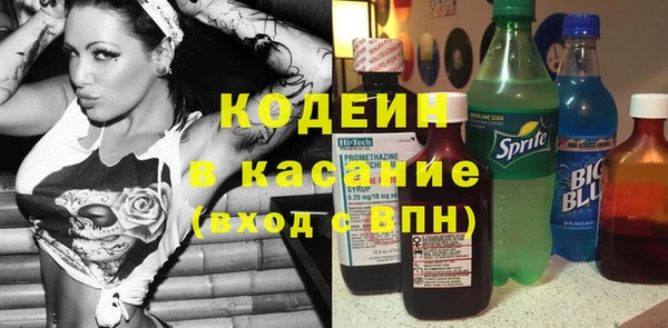 ГАЛЛЮЦИНОГЕННЫЕ ГРИБЫ Михайлов