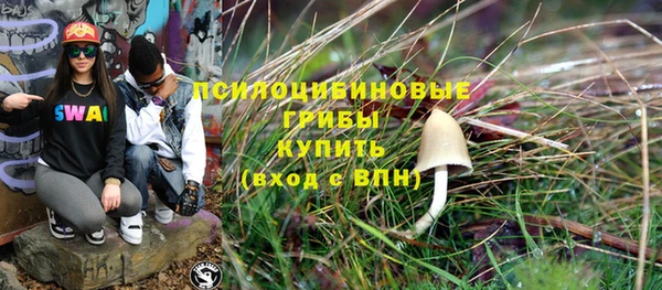 PSILOCYBIN Верхнеуральск