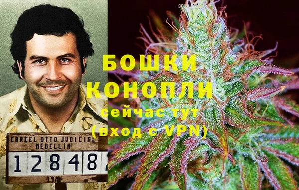 шишки Михайловка
