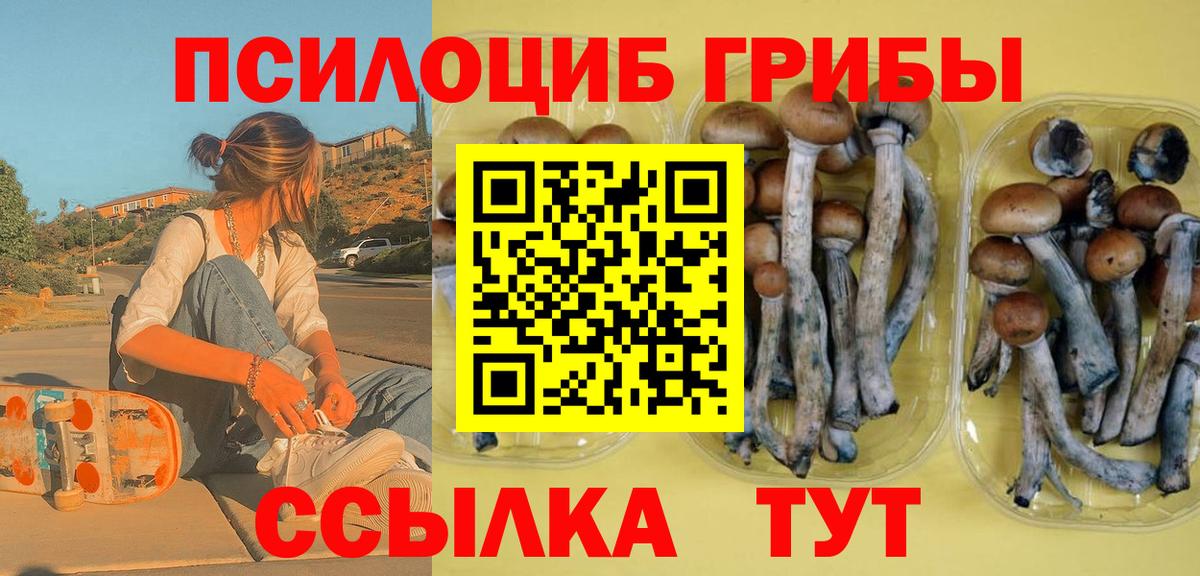 Галлюциногенные грибы Cubensis  Вход с VPN  Галлюциногенные грибы GOLDEN TEACHER  Томск 